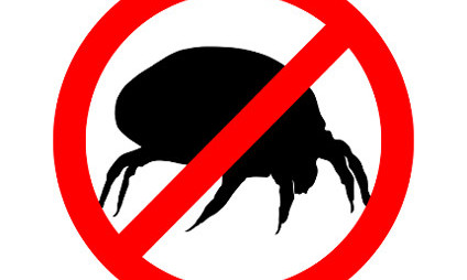 Immunoterapia na roztocze kurzu domowego